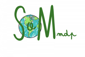 logo SoM(transparent)
